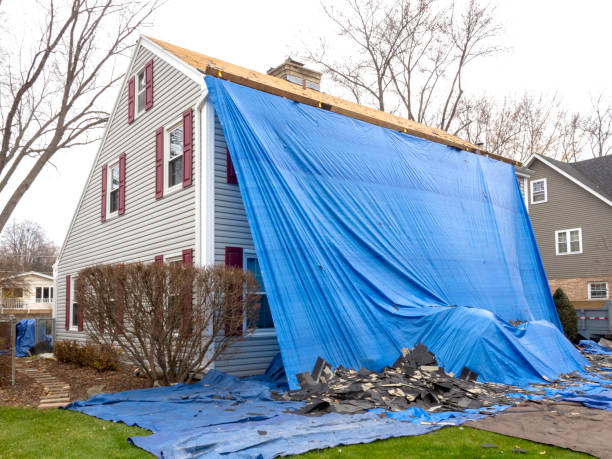 Same-Day Junk Removal Services in Valley, NE